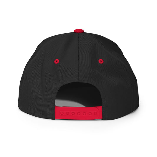 HSM Snapback Hat