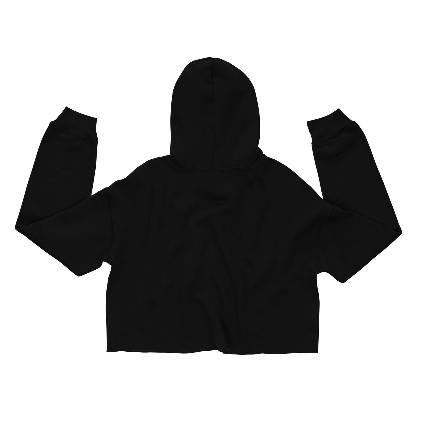 HSD Compass Crop Hoodie